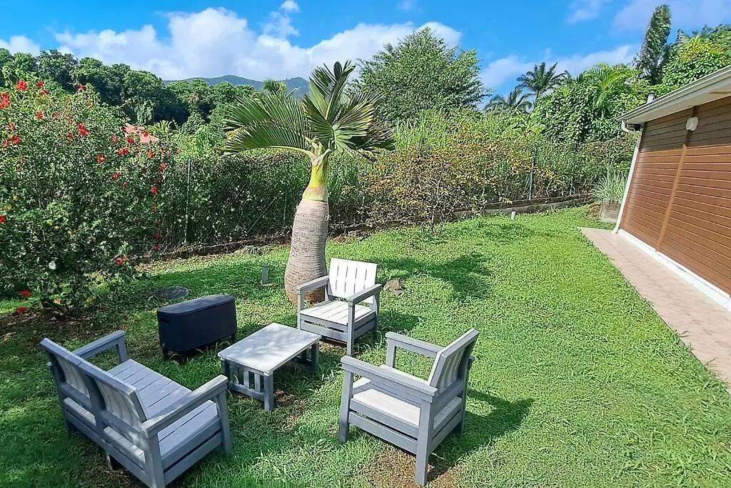 Villa Robusta - Extrait De Cafe Pointe-Noire